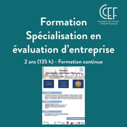  https://www.ccef.net/evaluation-dentreprise/