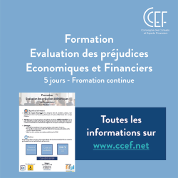  https://www.ccef.net/evaluation-des-prejudices/