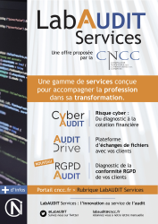  https://www.cncc.fr/audit-services/pro/index.html